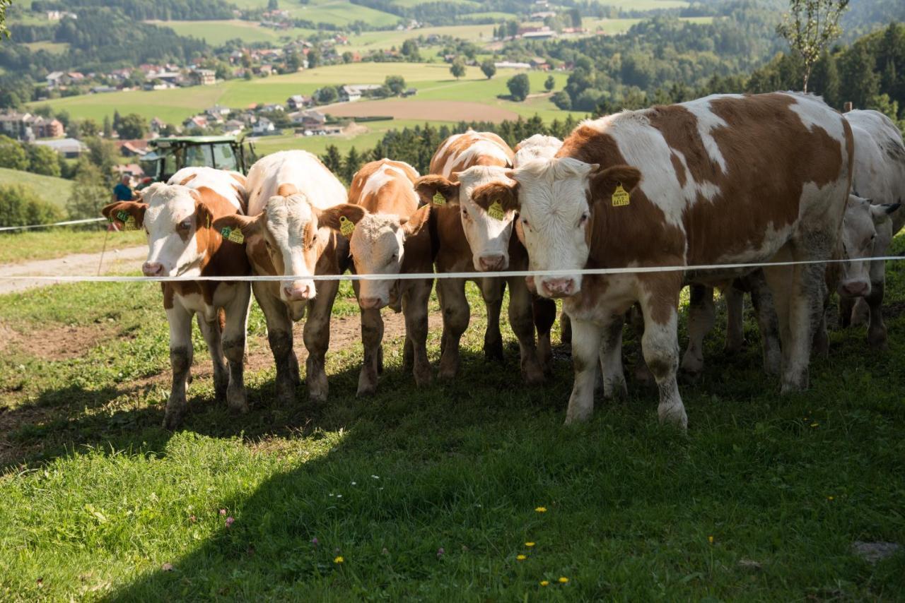 Ferienhaus Reisinger Promschhof Semriach Buitenkant foto