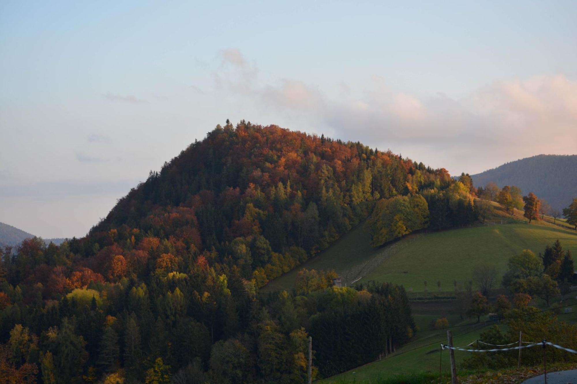 Ferienhaus Reisinger Promschhof Semriach Buitenkant foto